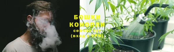 PSILOCYBIN Зеленокумск